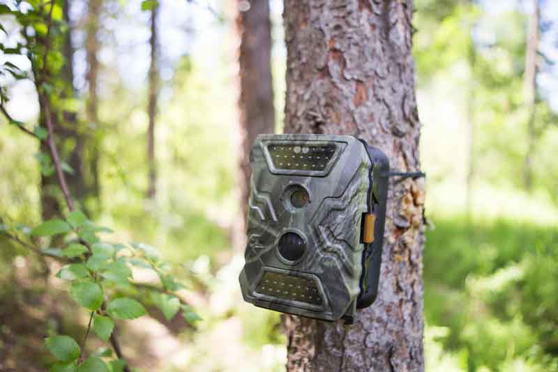 Trail Camera Features