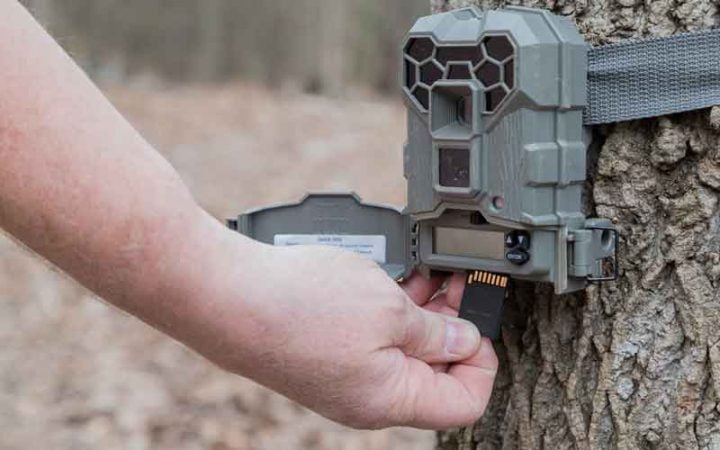 Top 3 Best Trail Camera Tips That Will Change Your Life