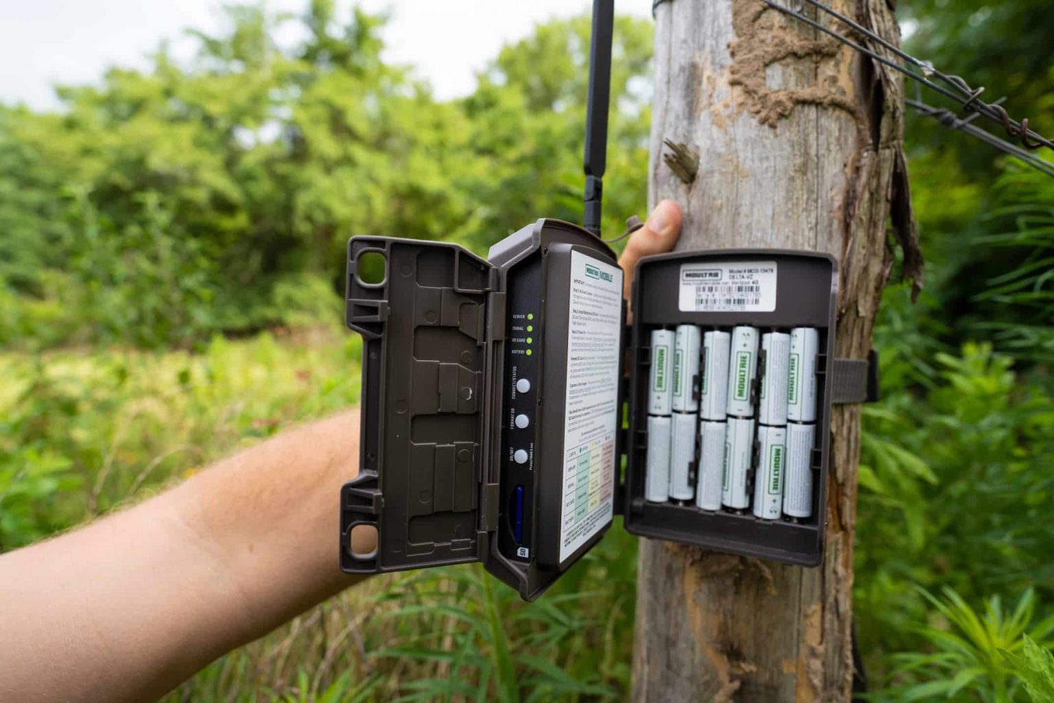 How Long Do Trail Camera Batteries Last? Unveiled Secrets