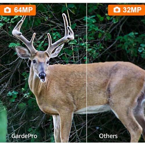 Best Non Cellular Trail Camera