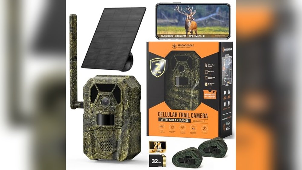 Best Bang for Buck Trail Camera