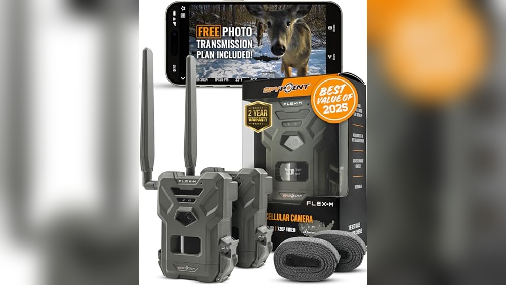 Best Value Trail Cameras