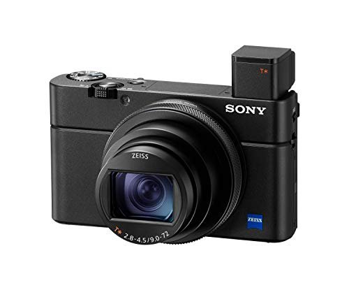Best $100 Digital Camera