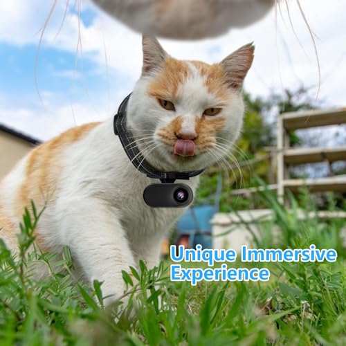 Best Dog Collar Camera