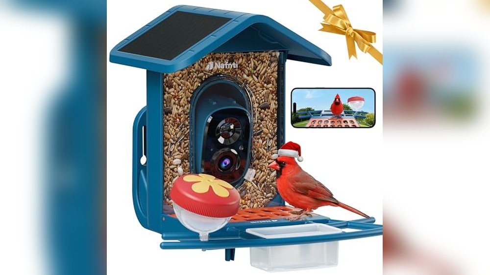 Best 5Ghz Wifi Bird Feeder Camera