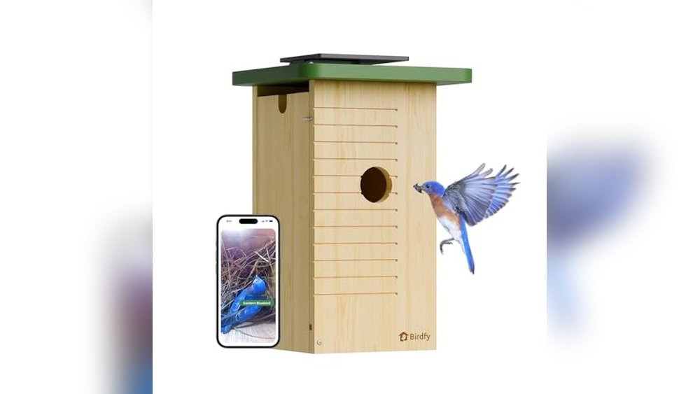 Best Bird Box Camera