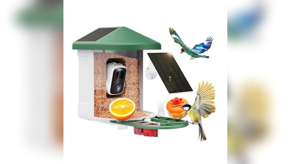 Best Bird Feeder Video Camera