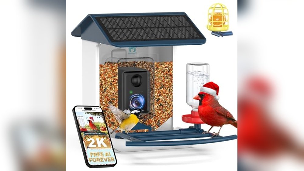 Best Bird Feeder With Camera And Solar