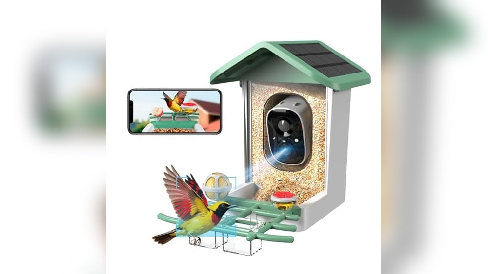 Best Camera Bird Feeder