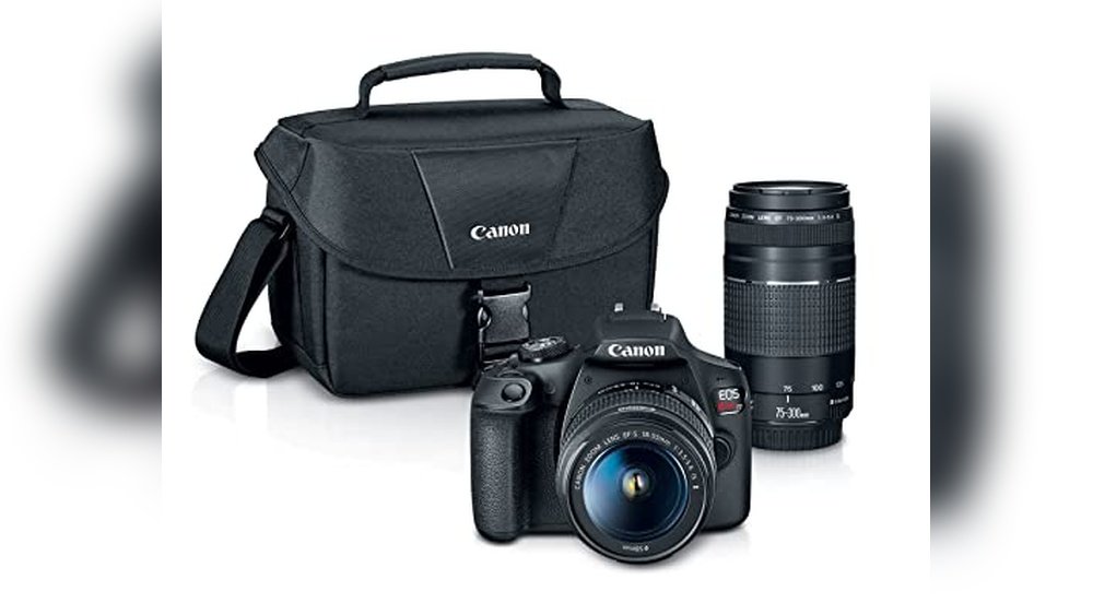 Best Camera for Birding