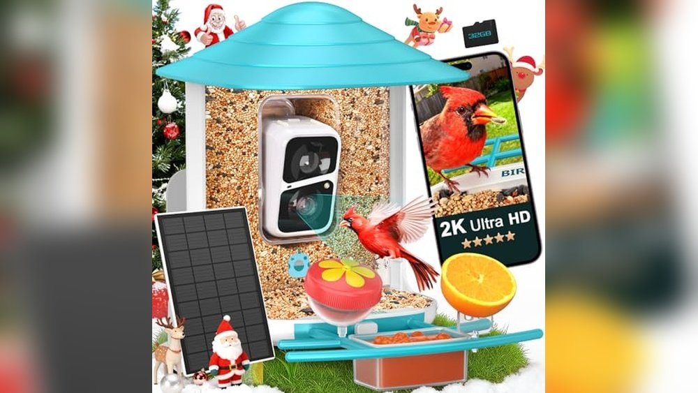 Best Camera for Birds