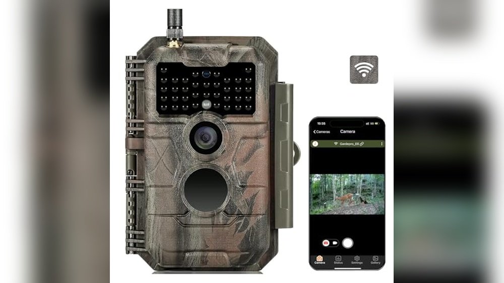 Best Trail Camera for Backyard