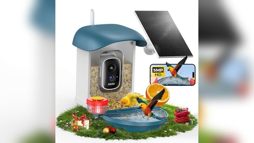 Best Trail Camera for Bird Feeder