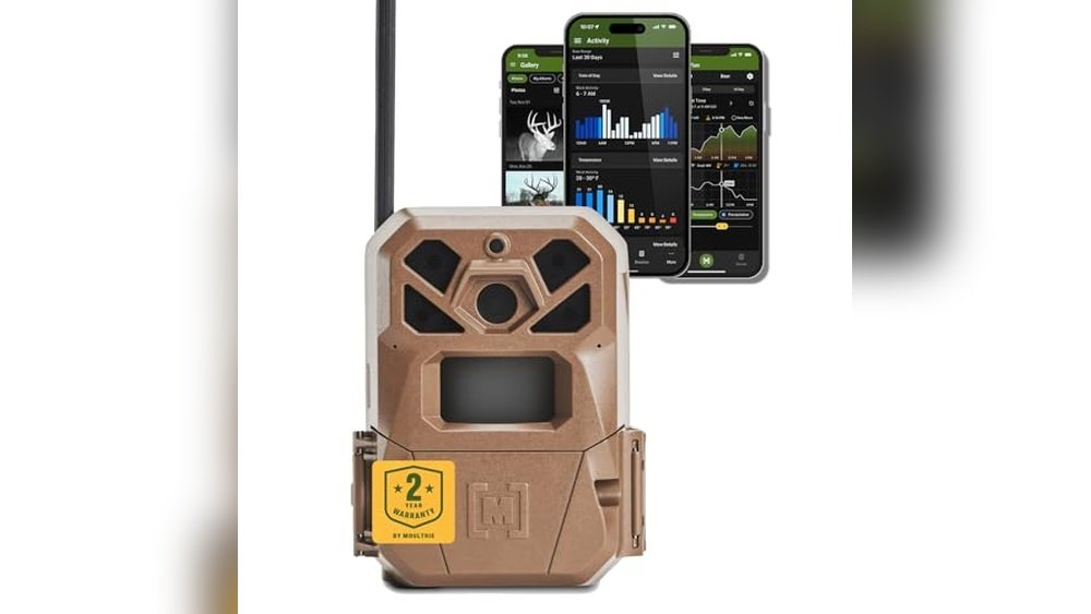 Best Trail Camera for Low Signal Areas