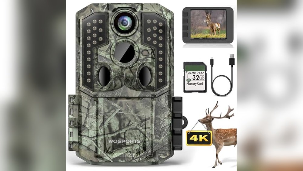 Best Trail Camera for Wildlife Photography