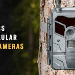 Wifi Vs Cellular Trail Cameras