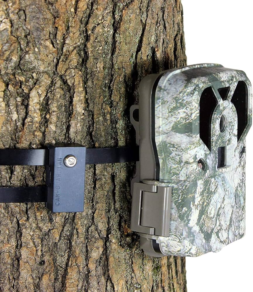 How To Prevent A Trail Camera From Being Stolen