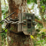 Trail Camera Vs Camera Trap