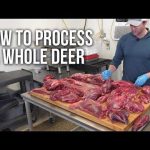 How Much Deer Meat After Processing