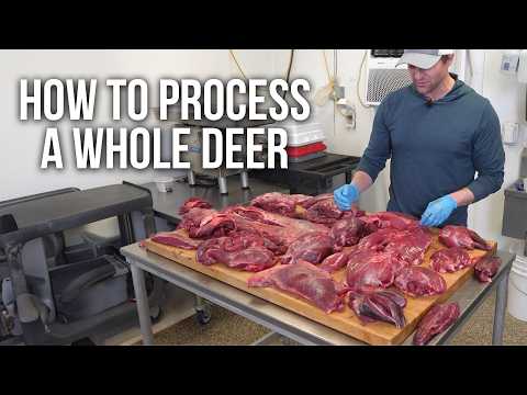 How Much Deer Meat After Processing