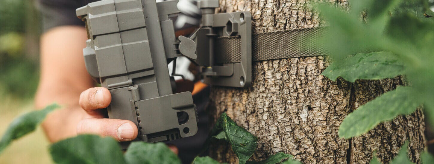 How Far Apart To Place Trail Cameras