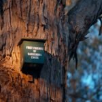 Wildlife monitoring box mounted on a tree for picture troubleshooting