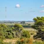 Cellular tower above a rural wooded landscape illustrating trail-camera carrier coverage