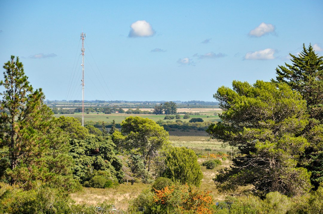 Cellular tower above a rural wooded landscape illustrating trail-camera carrier coverage