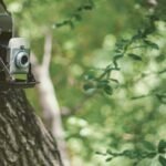 Outdoor camera equipment on a tree during firmware maintenance