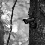 Trail camera mounted on a tree while its date and time are configured