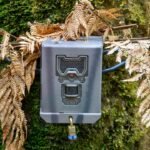 Trail camera secured to a mossy tree trunk in a forest, showing wildlife camera placement
